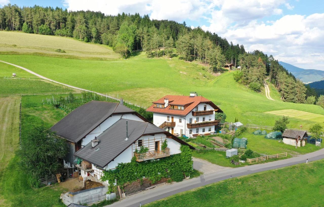 Holzerhof Lothen Campolino 5 Sankt Lorenzen 외부 사진